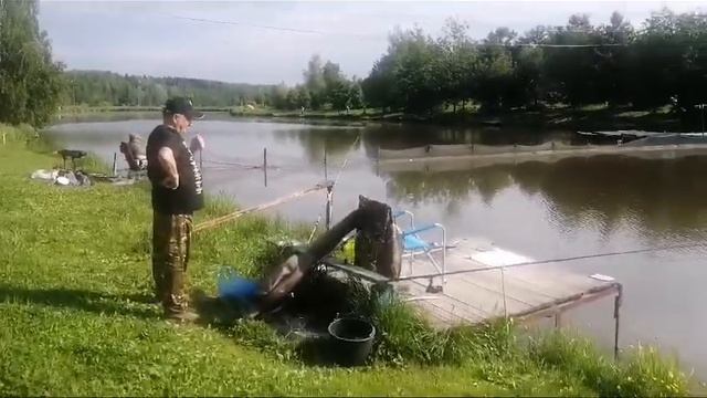 Светлые Горы. Видеообзор 1.02.06.2024