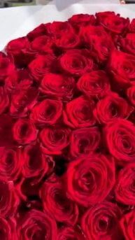 букет красных роз из 201 штучки🥰😍 #рекомендации #flowers #