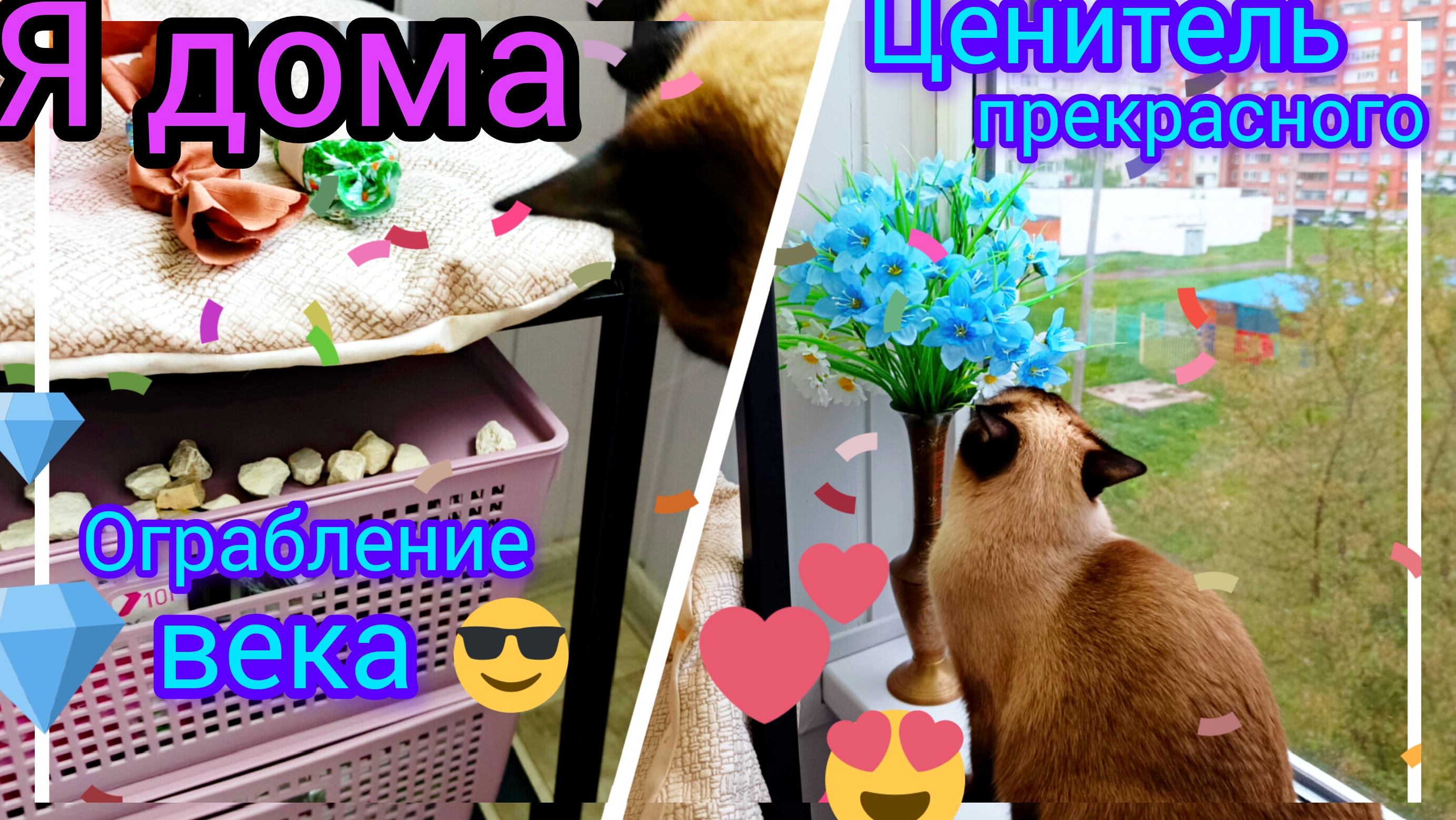 Доброе💖 утро‼️Я,дома🏡 #жизнь инвалида #онкобудни #смешная кошка #котики #смешныекоты #тайскаякошка