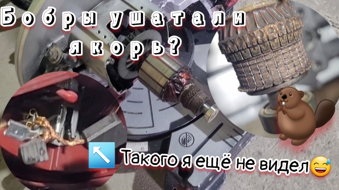 Якорь сильно искрит, что и почему? Искрит как новогодняя ёлка тарцовочная пила RedVerg  MS255-1400))
