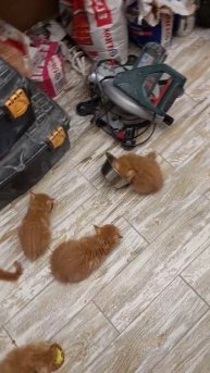 продолжение к предыдущему видео о том что у каждого до