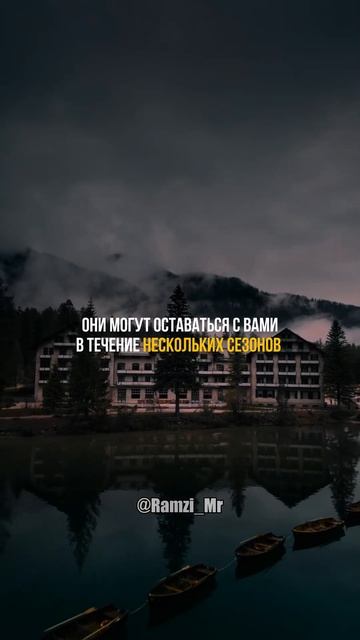 В вашей жизни есть только 3 типа людей #саморазвитее #к?