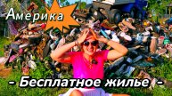 Социальное жилье в Нью Йорке: КРЫСЫ, Решетки и БЕДНОСТЬ. Вся правда о жизни в БРУКЛИНЕ #америка