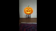 Хэллоуин говорящая тыква 🎃🎃🎃🎃🎃
