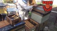 Видео Расширение весной