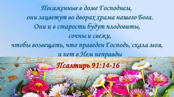 Я ХОЧУ С ТОБОЮ БЫТЬ