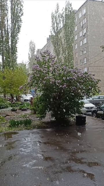 На улице весна, а в душе моей холод и вечная зима....