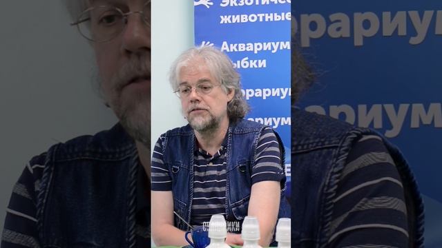 А вы правильно кормите своих рыб?