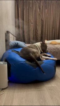 VID-20250507-WA0013