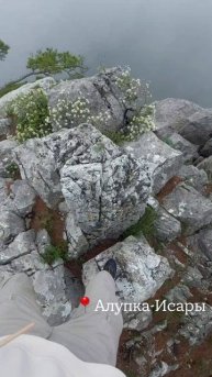 Алупка-Исары 🌿