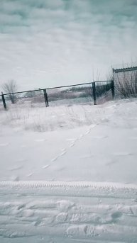 Васильки
