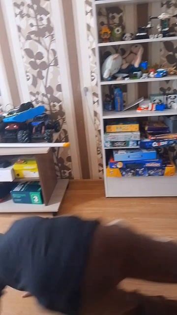 димоооооооооооон!!!!!!!!!