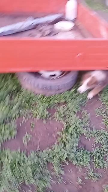 1000080643.mp4