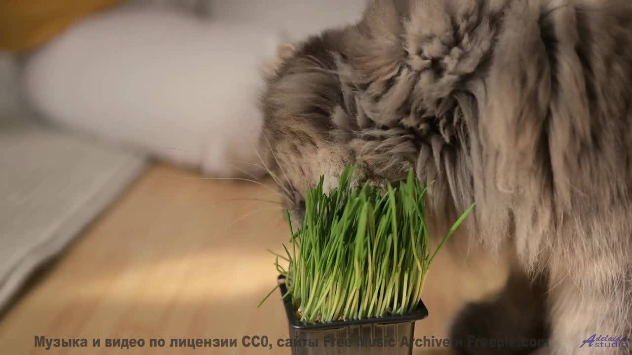 Поля наполняются жизнью вместе с этим саундом - The 11th Hour -- Kirk Osamayo -- Season Two (RED)