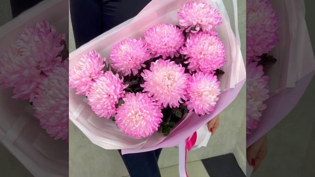 Букет из 9 розовых хризантем Дека "Рапунцель"