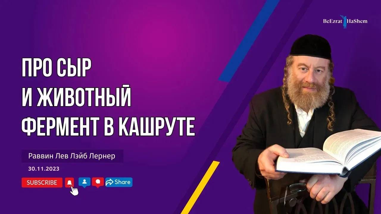 Про сыр и животный фермент в кашруте