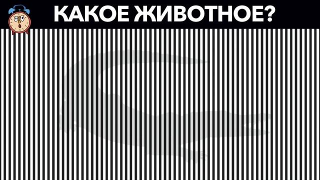 Насколько_хорошо_ты_видишь？_Простой_тест_на_зрение