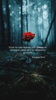 Вдохновляйся каждый день ✨🌞