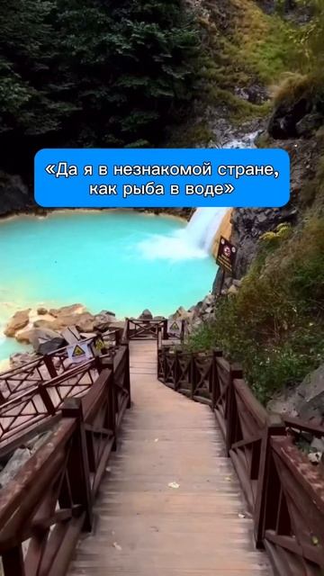 Пиши слово «ВРЕМЯ» и забирай шпаргалку по всем времен?