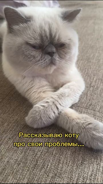 Бесплатный психолог