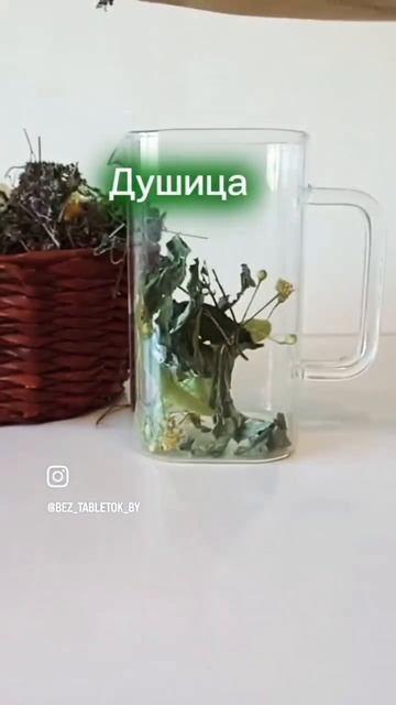 Магия женского чая: секреты красоты и здоровья!  #женск