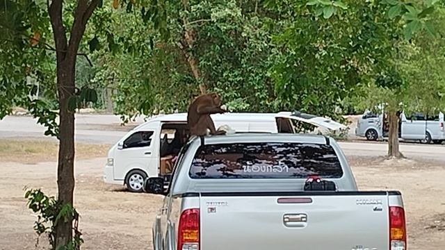 Военный пляж.