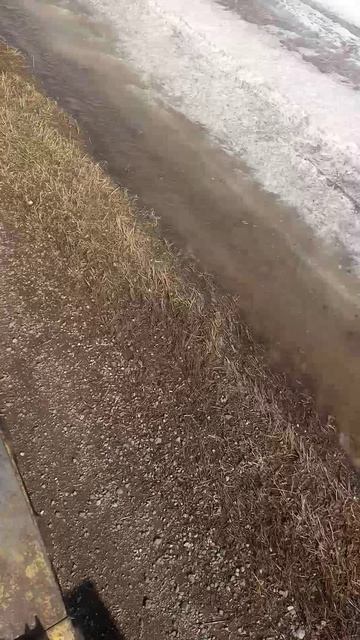 VID_20250319_124115.mp4