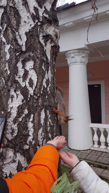 Дендропарк на 8 Марта 🐿🐿🐿