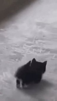 Егор научил редактировать видео