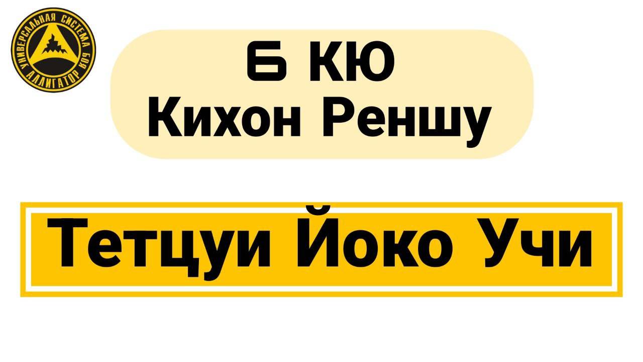 6 Кю Кихон Реншу: Тетцуи Йоко Учи