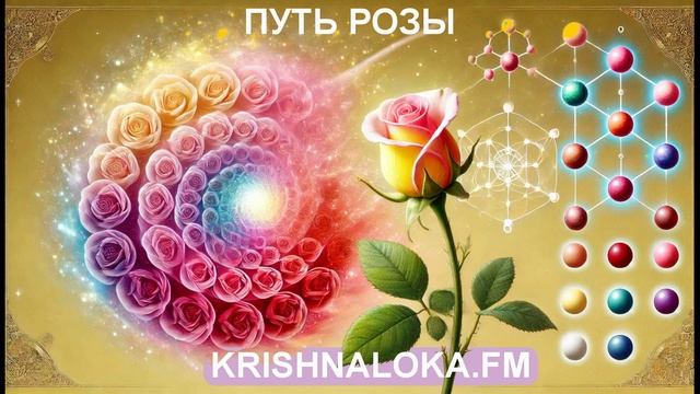 Почему розы были жёлтыми? Научный факт и ведическая метафора