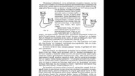 Жорж Дари Электричество 1903 во всех его применениях с многочисленными иллюстрациями. С-Петербург 19