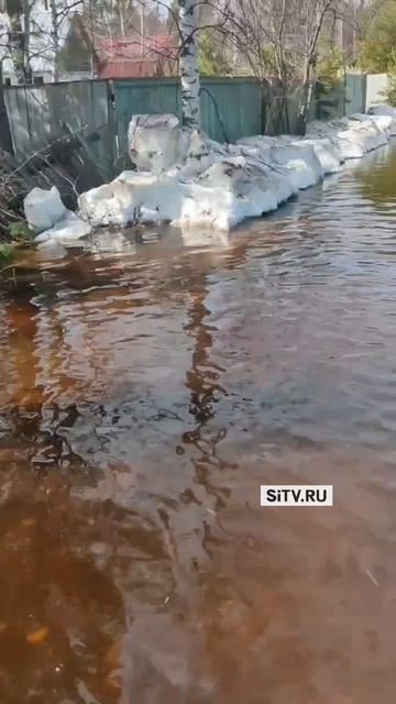 В Сургуте подтопило дачи