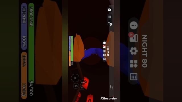 играю с братом