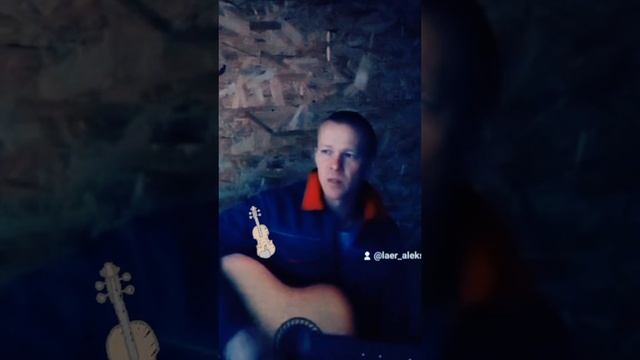Скрипач
