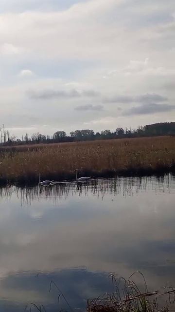 VID-20250508-WA0002.mp4