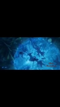 Енот и политика
