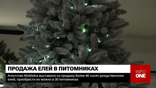 INFO ONE - MOLDSILVA ВЫСТАВИЛО НА ПРОДАЖУ БОЛЕЕ 46 ТЫСЯЧ РОЖДСТВ