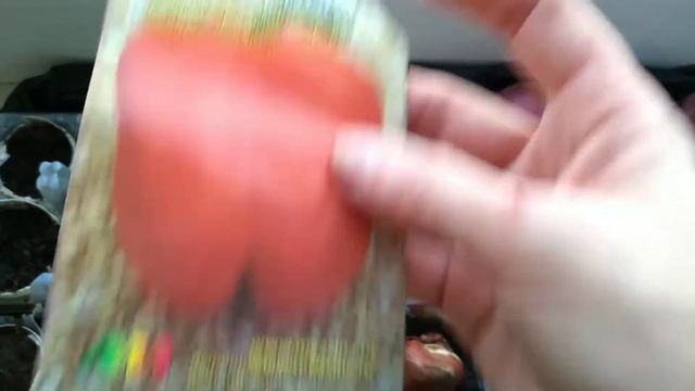 Сезон посадки рассады открыт!!!