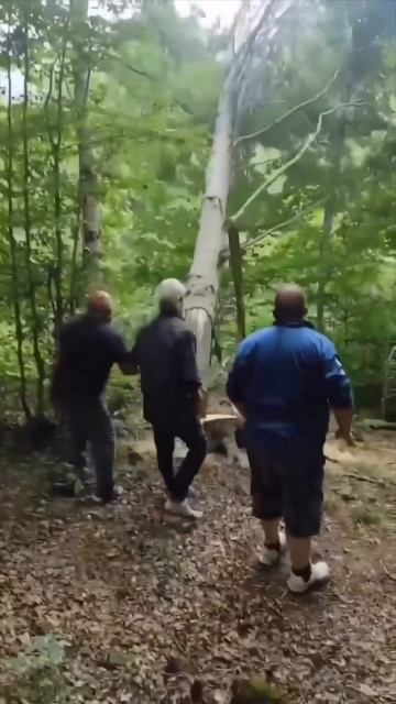 что могло пойти не так))