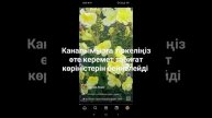 14 марта 2024 гКак называется этот жёлтый цветок???