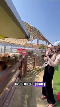мой муж кореец не может есть эти русские продукты! #муж
