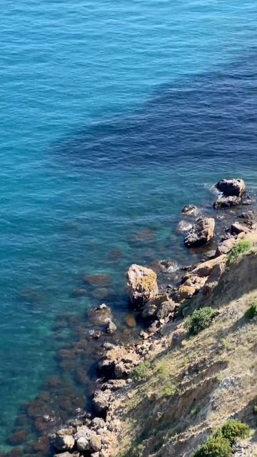 #crimea #amazing #shortsvideo #shortsclip #nature #amazingnature #крым #красота #шортс #югроссии