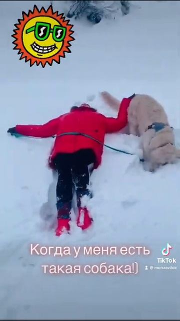 Зачем мне солнце Монако? Если у меня есть такая собака!