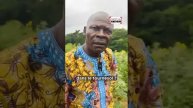 LES BIENFAITS DU TOURNESOL 🌻 🌻 🌻 AU CAMEROUN.