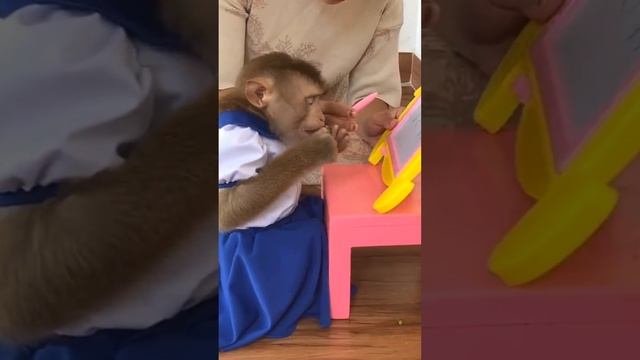 Обезьянка в ШКОЛЕ Учит буквы ЗАБАВНО УЛЫБНУЛО