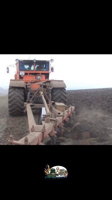 Пашем очень старую люцерну на тракторе Кировец К-701