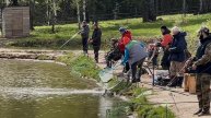 Утренние поимки на водоеме