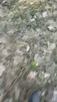 Вот такие Подснежники растут в Татарстане. Муслюмовс?