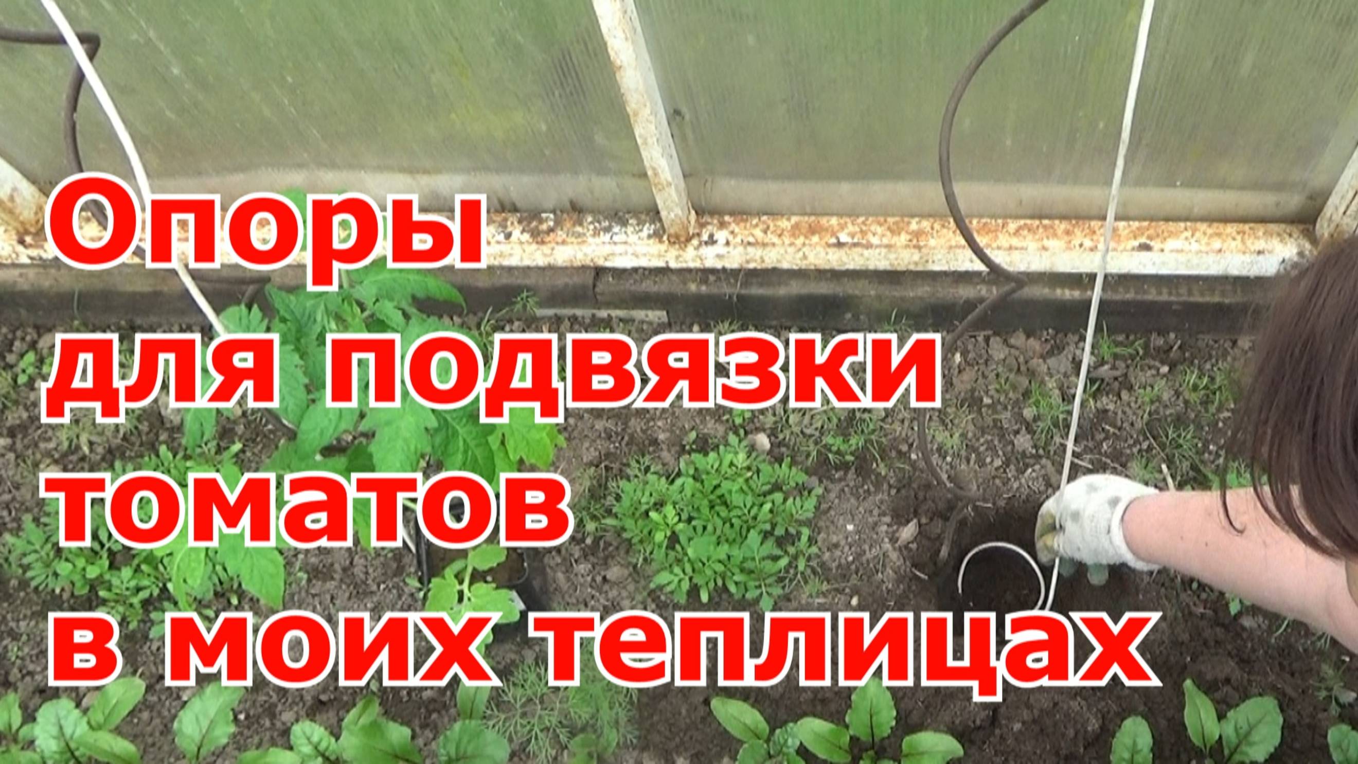 Как и какие опоры для подвязки томатов в теплице я использую. Быстро и надежно.